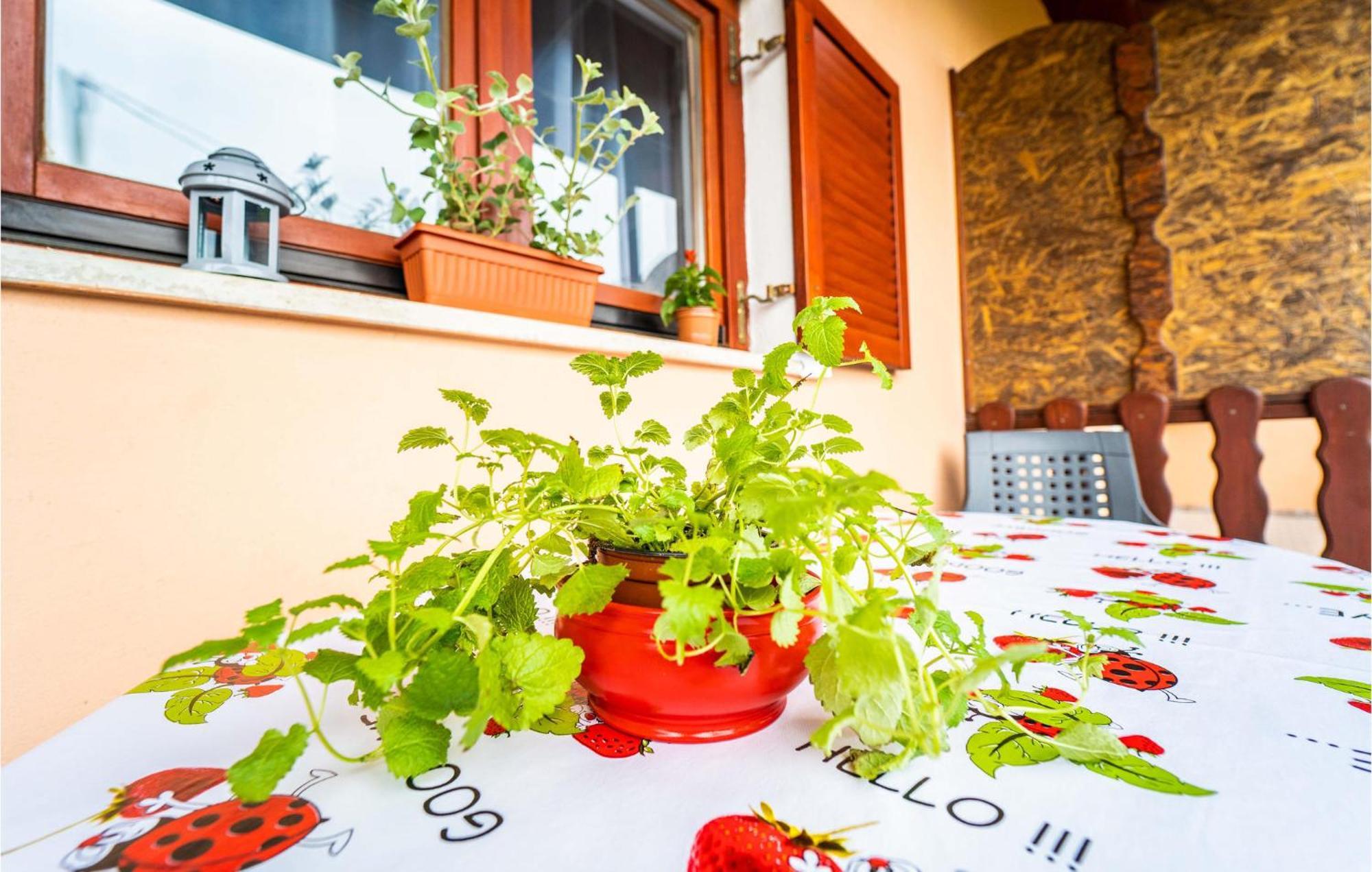 Amazing Apartment In Krnica With Kitchen Екстериор снимка